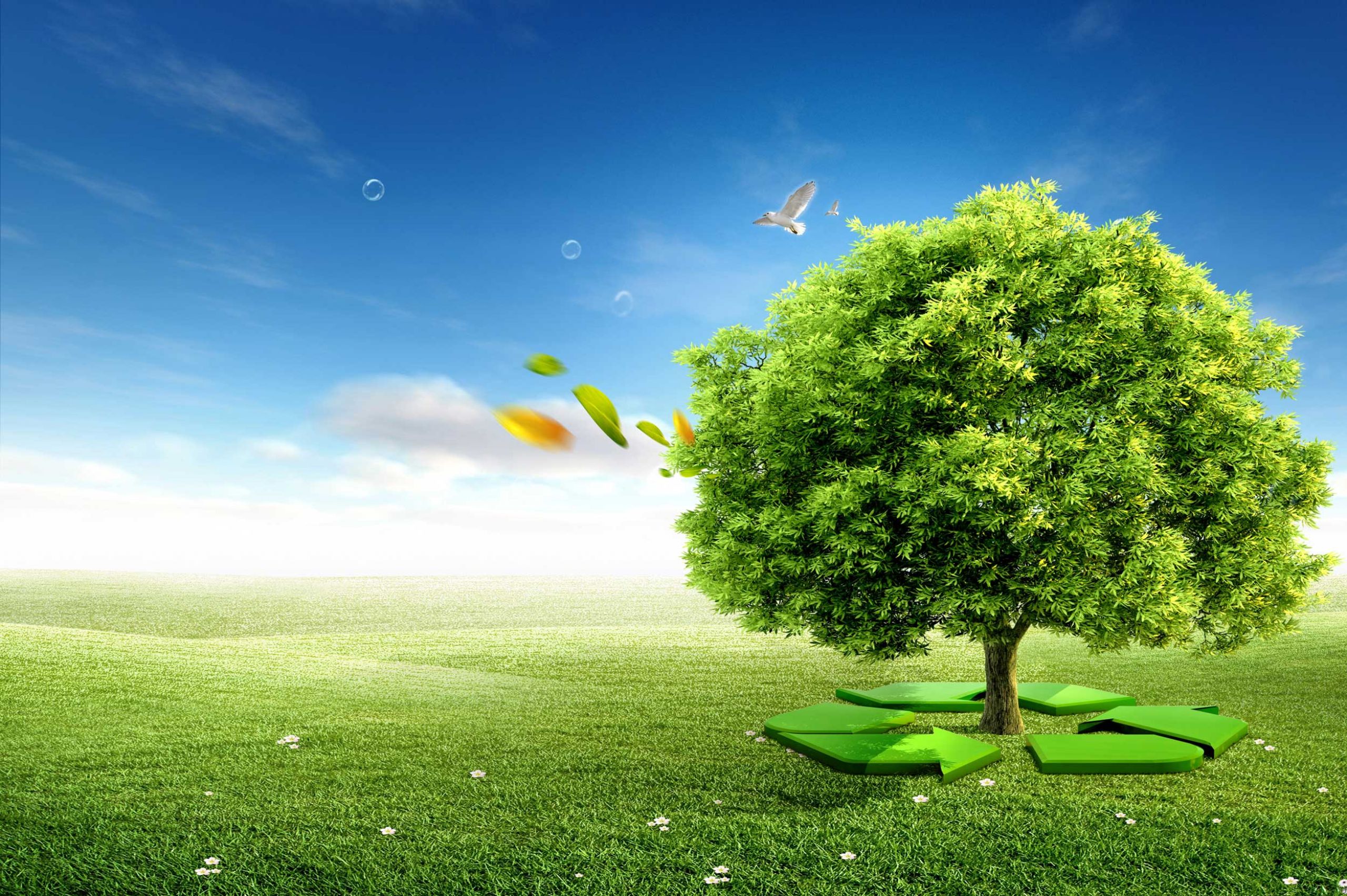 Green Invest Family Office